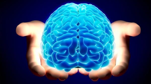 Мозг в руках человека