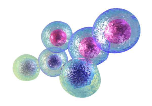 Стволовые клетки вместо эндопротезирования сустава
