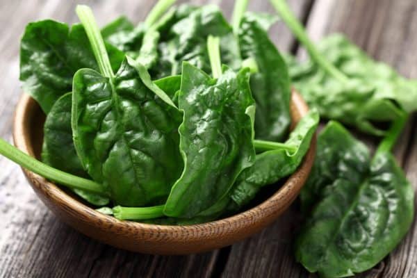 Изображение - Как питаться при артрозе суставов spinach-in-a-bowl-600x400